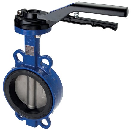 Exemplary representation: Intermediate flange valve